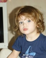 Плотников Богданович