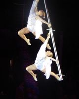 Анастасия Баукова