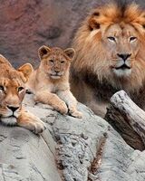 Марина Макарова