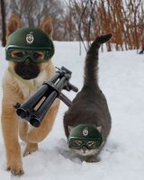 Антон Леонов