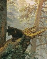 Ольга Траба