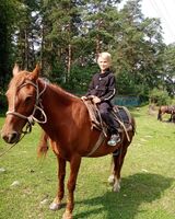 Тимофей Нечаев