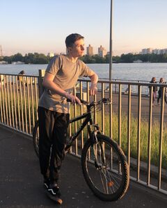 Александр Прибытков