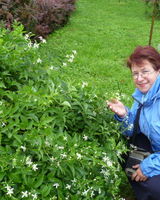 Анна Николаевна