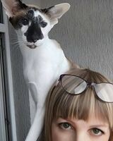 Татьяна Комарова