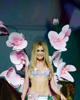 Анютка Chocolate