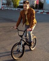 Лев Гольдин