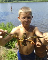 Вита Кириченко