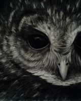 Артём Стрепетов