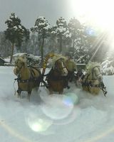 Дятлова Ивановна