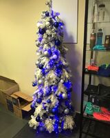 Елена Плотникова