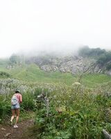 Дарья Киселева