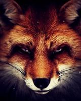Александр Панфёров