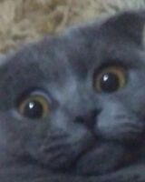 Мария Груздева