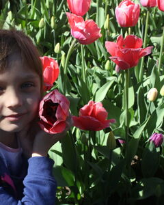 София Стринада