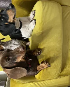 Наталья Маркова