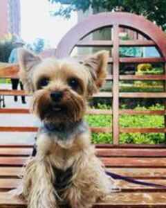 Ольга Петрова