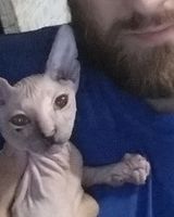 Принц Карса