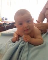 Шорена Тачулия