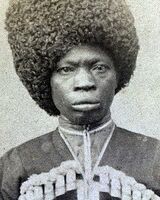 Бахрам Фарухи