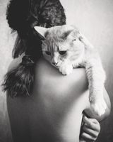 YULIA NESSEL