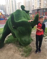 Дима Родкин