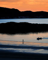 Андрей Карро