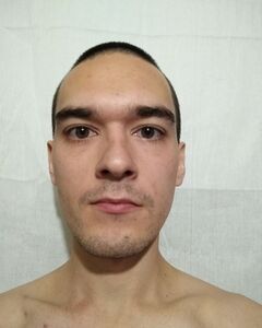 антон чибисов