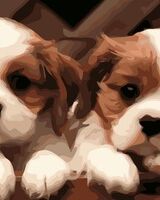 Алина Алешечкина