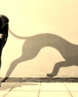 Алена Авдеенко