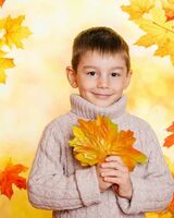 Илья Шмелев