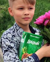 Никита Звягинцев