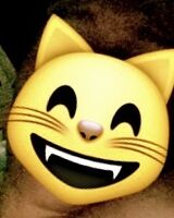 Паша Техник