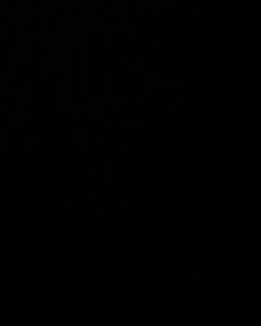 Александр Кропивницкий