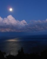 алексей борисов