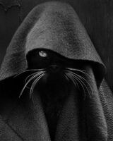 Владислав Шкурко