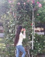 Рена Кафарли