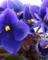 Продюсерский Центр