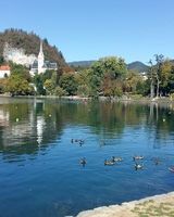 Валерия Барболина