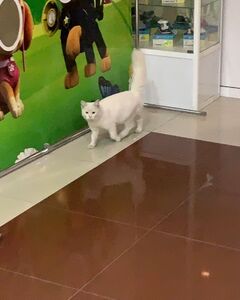 Алексей Иванов