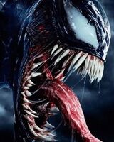 Антон Рогачёв