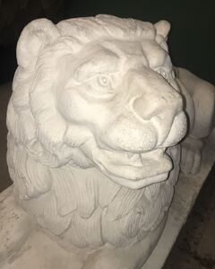 Марьяна Шарова