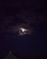 Александр Павлюченко