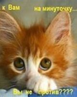 Татьяна Шнякина