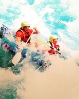 Елизавета Трошенкова