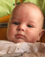 Євген Козаневич