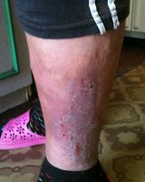 Тамара Белобородова