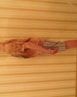 Мельник Александрович