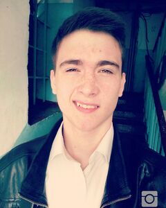 Антон Шипицын