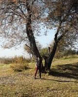 Вячеслав Колев